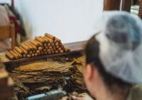 cigar humidifier maintaining humidity